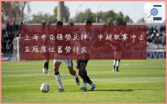 上海申花强势反弹，中超联赛冲击亚冠席位蓄势待发