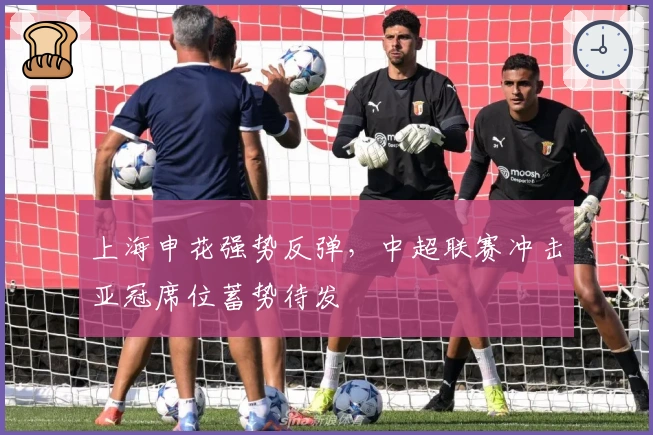 上海申花强势反弹，中超联赛冲击亚冠席位蓄势待发